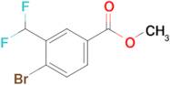 Methyl 4-bromo-3-(difluoromethyl)benzoate