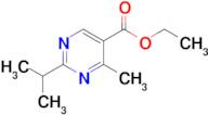 Ethyl 2-isopropyl-4-methylpyrimidine-5-carboxylate