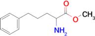 Methyl 2-amino-5-phenylpentanoate