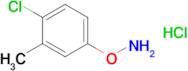 O-(4-chloro-3-methylphenyl)hydroxylamine hydrochloride