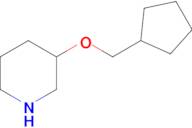 3-(Cyclopentylmethoxy)piperidine