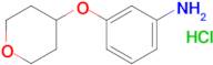 3-((Tetrahydro-2H-pyran-4-yl)oxy)aniline hydrochloride