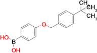 (4-((4-(Tert-butyl)benzyl)oxy)phenyl)boronic acid