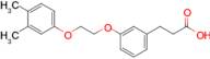 3-(3-(2-(3,4-Dimethylphenoxy)ethoxy)phenyl)propanoic acid