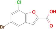 5-Bromo-7-chlorobenzofuran-2-carboxylic acid