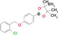 2-(4-((2-Chlorobenzyl)oxy)phenyl)-4,4,5,5-tetramethyl-1,3,2-dioxaborolane