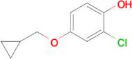 2-Chloro-4-(cyclopropylmethoxy)phenol