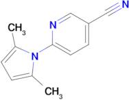 6-(2,5-Dimethyl-1H-pyrrol-1-yl)nicotinonitrile