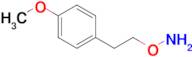 O-(4-methoxyphenethyl)hydroxylamine