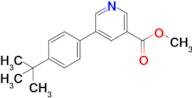 Methyl 5-(4-(tert-butyl)phenyl)nicotinate