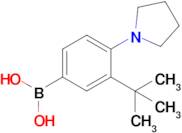 (3-(Tert-butyl)-4-(pyrrolidin-1-yl)phenyl)boronic acid