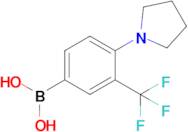 (4-(Pyrrolidin-1-yl)-3-(trifluoromethyl)phenyl)boronic acid