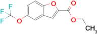 Ethyl 5-(trifluoromethoxy)benzofuran-2-carboxylate