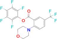 Perfluorophenyl 2-morpholino-5-(trifluoromethyl)benzoate
