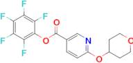 Perfluorophenyl 6-((tetrahydro-2H-pyran-4-yl)oxy)nicotinate