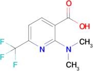 2-(Dimethylamino)-6-(trifluoromethyl)nicotinic acid