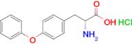 (R)-2-amino-3-(4-phenoxyphenyl)propanoic acid hydrochloride