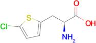 (S)-2-amino-3-(5-chlorothiophen-2-yl)propanoic acid