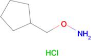 O-(Cyclopentylmethyl)hydroxylamine hydrochloride