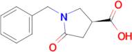 (S)-1-benzyl-5-oxopyrrolidine-3-carboxylic acid