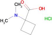 1-(Dimethylamino)cyclobutane-1-carboxylic acid hydrochloride