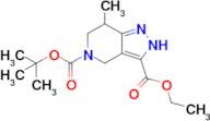 5-tert-butyl 3-ethyl 7-methyl-2H,4H,5H,6H,7H-pyrazolo[4,3-c]pyridine-3,5-dicarboxylate