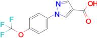 1-(4-(Trifluoromethoxy)phenyl)-1H-pyrazole-4-carboxylic acid