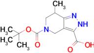 5-[(tert-butoxy)carbonyl]-7-methyl-2H,4H,5H,6H,7H-pyrazolo[4,3-c]pyridine-3-carboxylic acid