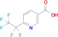 6-(Perfluoroethyl)nicotinic acid