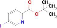 tert-Butyl 5-iodopicolinate