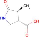 (3S,4S)-4-Methyl-5-oxopyrrolidine-3-carboxylic acid