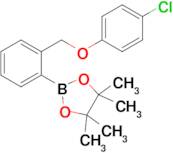 2-(2-((4-Chlorophenoxy)methyl)phenyl)-4,4,5,5-tetramethyl-1,3,2-dioxaborolane