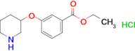 Ethyl 3-(piperidin-3-yloxy)benzoate hydrochloride