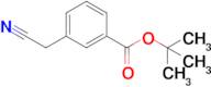 tert-Butyl 3-(cyanomethyl)benzoate