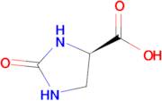 (R)-2-Oxoimidazolidine-4-carboxylic acid