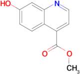 Methyl 7-hydroxyquinoline-4-carboxylate