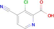 3-Chloro-4-cyanopicolinic acid