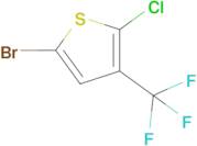 5-Bromo-2-chloro-3-(trifluoromethyl)thiophene