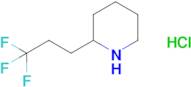 2-(3,3,3-Trifluoropropyl)piperidine hydrochloride