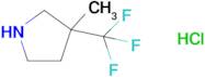 3-Methyl-3-(trifluoromethyl)pyrrolidine hydrochloride