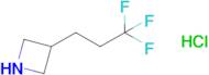 3-(3,3,3-Trifluoropropyl)azetidine hydrochloride