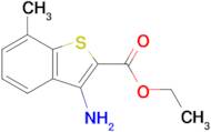 Ethyl 3-amino-7-methylbenzo[b]thiophene-2-carboxylate