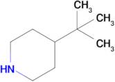 4-(tert-Butyl)piperidine