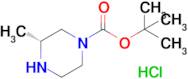 tert-Butyl (R)-3-methylpiperazine-1-carboxylate hydrochloride