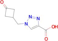 1-((3-Oxocyclobutyl)methyl)-1H-1,2,3-triazole-4-carboxylic acid