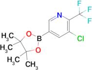 3-Chloro-5-(4,4,5,5-tetramethyl-1,3,2-dioxaborolan-2-yl)-2-(trifluoromethyl)pyridine