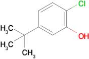 5-(tert-Butyl)-2-chlorophenol