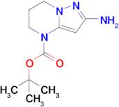 tert-Butyl 2-amino-6,7-dihydropyrazolo[1,5-a]pyrimidine-4(5H)-carboxylate