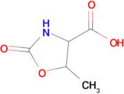5-Methyl-2-oxooxazolidine-4-carboxylic acid