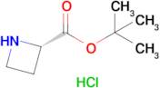 (S)-tert-Butyl azetidine-2-carboxylate hydrochloride